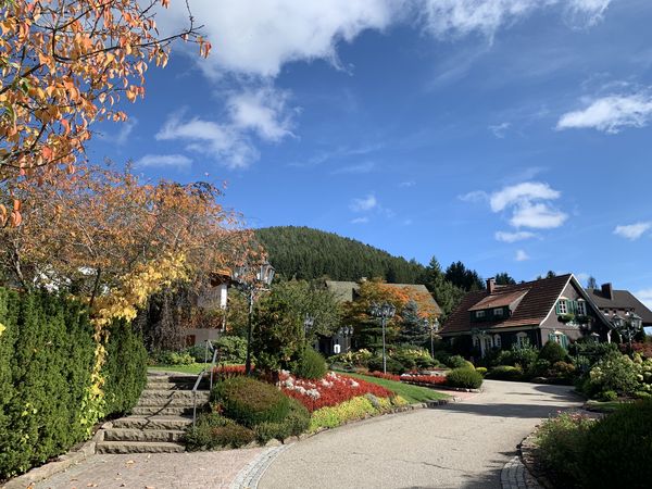 Aufnahme der Zufahrtsstraße mit schönen Blumenbeeten des Hotels